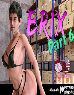 Brix- Videogame Master 6- By PigKing