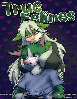 True Felines- (Pokemon)- By LizzardSama