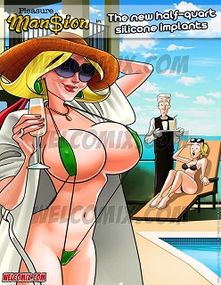 Pleasure Mansion in The new half-quart silicone implants
